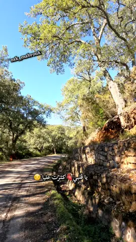 #explore #tunisa_tiktòk #اكسبلور #طبيعة #الشعب_الصيني_ماله_حل😂😂 