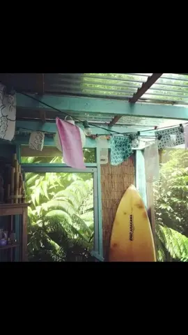 🤙🏻 #reggae #beach #fypシ #viral 