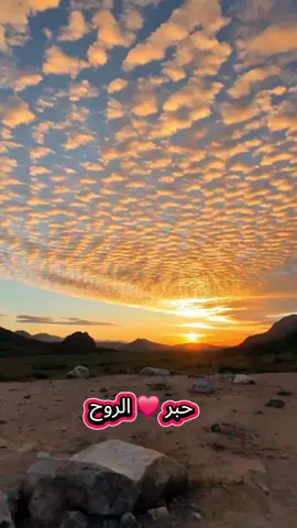 أيام لا تنسى ... وذكريات محفورة # كلمات - من - الروح # ومضات - فكرية - تأملية # خواطر - للعقول - الراقية 