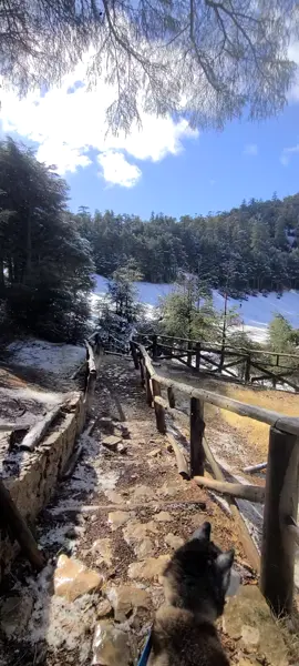 مدينة افران سويسرا المغرب  #ازرو_افران_مريرت_خنيفرة_أجلموس_الحاجب #شعب_الصيني_ماله_حل #افران #الجزائر_تونس_المغرب #الجزائر_تونس_المغرب 