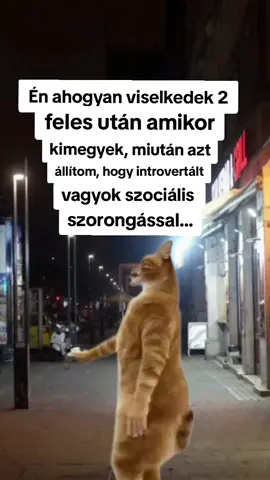 Rotty...🤧@Elizabeth Joni @🐆Szilágyi Jázminka🐆 