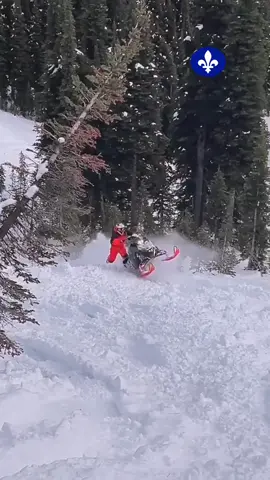 #quebecois #viraltiktok #superalo