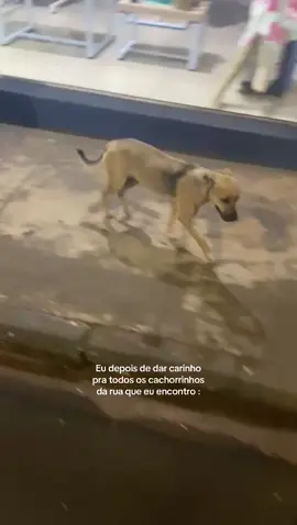 #cachorros é um vício…