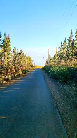 ✨☁️ #marrakech🇲🇦morocco #fyppppppppppppppppppppppp #natural #tiktokindia #الشعب_الصيني_ماله_حل😂😂 
