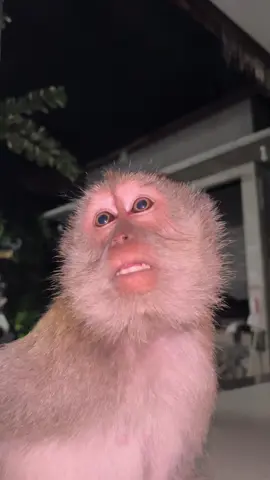 Sabar nyet#fyp #fypシ゚ 