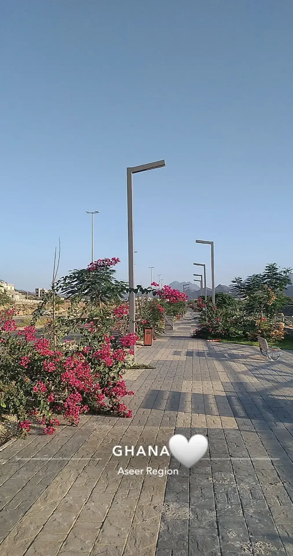 #قنا #قناا #عسير #عسير_الهول #محايل_عسير #عسيري #تصويري #الحب #ترند #تيك_توك #اكسبلور #اكسبلورر #اكسبلورexplore #explore #حبيبي❤️ 