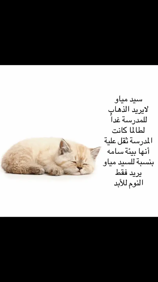 متعب,يريد مكاناً هادئ, يريد النوم 