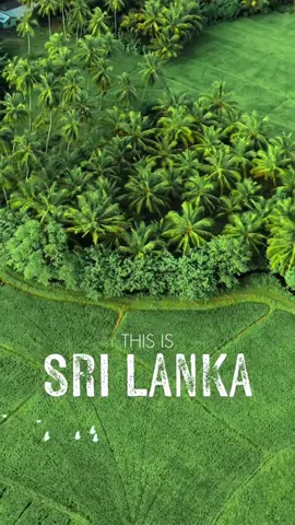 Once known as paradise…” “Now facing the storm…” “But storms don’t break us…” “They make us stronger.” “Together, we rebuild.” “Sri Lanka will rise again. 🇱🇰#viralvideo #rebuildsrilanka #trending #visitsrilanka #fypppppppppppppppppppppp 