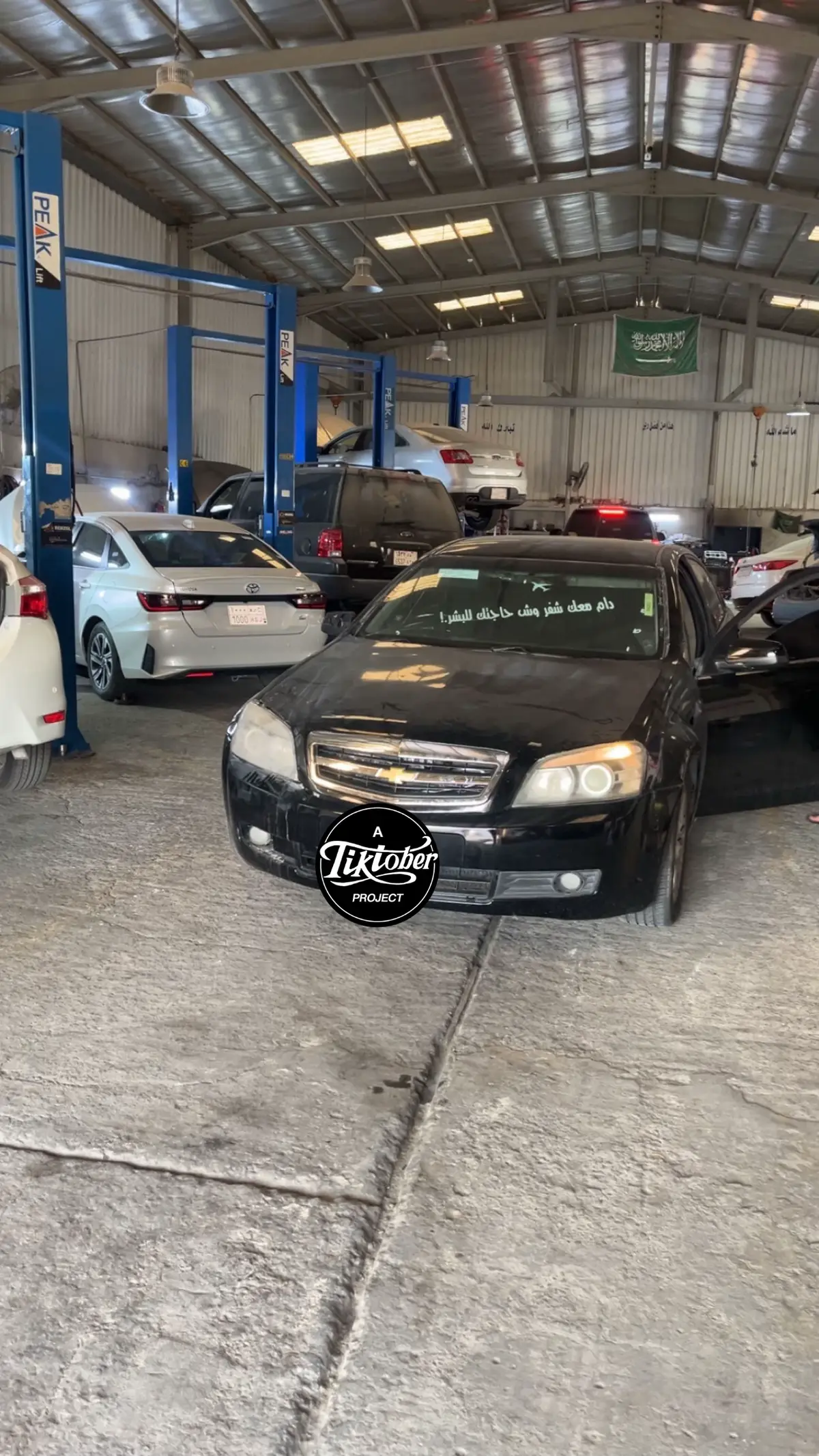 #كابرس #الاحساء #fyp #foryou #foryoupage 