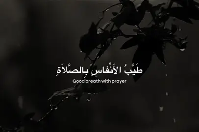 نستَذكِرُ اسْتِشْهادَ أُمِّ البَنِينَ رَضِيَ اللهُ عَنْها ونُهدي ثَوابَ ذِكرِها بالصَّلاةِ على مُحَمَّدٍ وَآلِ مُحَمَّدٍ 😔💔🤲🏻 . . . #اللهم_صل_على_محمد_وآل_محمد #استشهاد #ام_البنين #كربلاء #العراق 