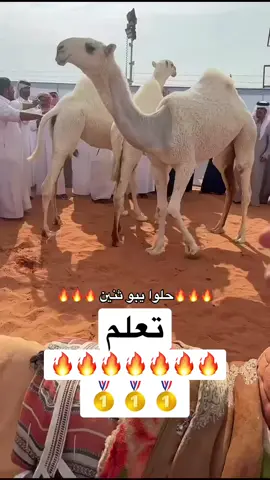 #تعلم #الصياهد #اكسبلورexplore #لايك__explore___ 