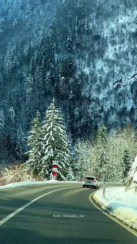 #switzerland🇨🇭 #switzerlandtourism #switzerlandmountains #beautifulplace #claudia__rodrigo 