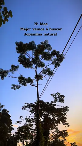 #fotitos❤📸 #atardeceres🌅 #naturalezapaisajes 