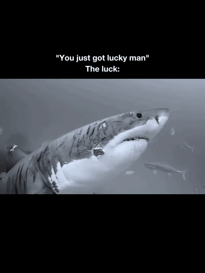 Rewire yourself. Delete the old programming that keeps you average. Build your own script with discipline and focus. #villainarc #motivation #creatorsearchinsights #motivationdaily #usa #fyp #darkenergy #nyc #unstoppable #mindsetshift #alphaenergy #dailymotivation #growth #resilience #discipline #wealthmindset #grindmode #ambition #success #progress