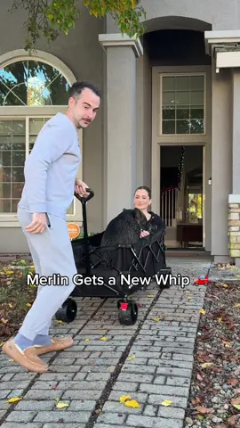 Hauling this giant wagon with my pig around town is going to be my new favorite pastime @Merlin’s Dad 🫃🏻 