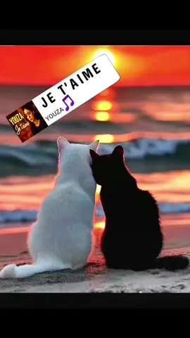 chanson d'amour française #nostalgie #france #musiquefrançaise  #youza