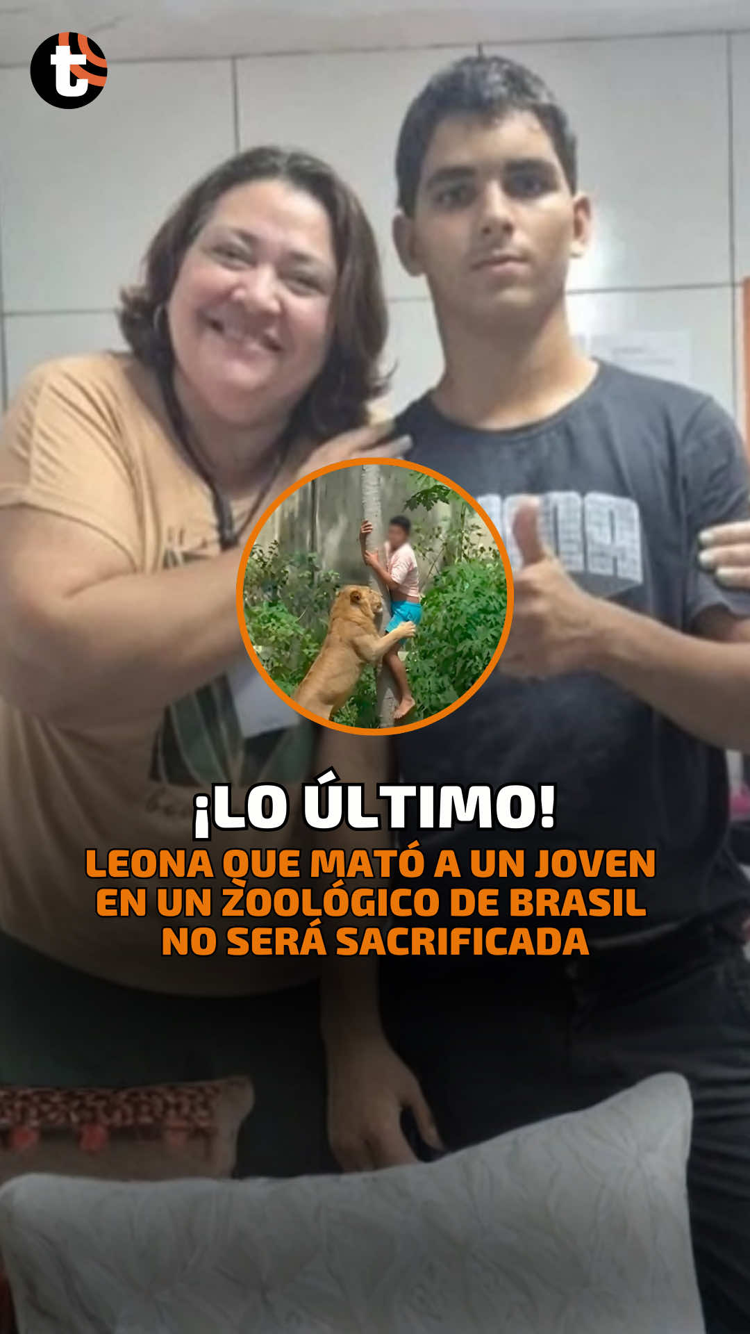 ¡Leona que m@tó a un joven en Brasil no será sacrificada! 🦁⚠️  La decisión generó debate tras revelarse que el muchacho ingresó ilegalmente al recinto. Autoridades aseguran que el animal actuó por instinto y no representa un riesgo fuera de su entorno.  #Leona #Brasil #Zoo #trome 