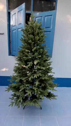 ต้นคริสต์มาส สวยมาก  #ต้นคริสต์มาส #ต้นคริสต์มาสราคา #ขายต้นคริสมาส #ต้นchristmas #ต้นคริสมาสต์สวยๆ 