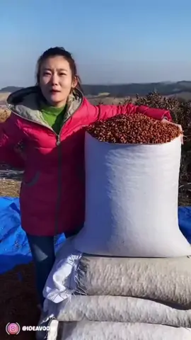 ##اكسبروررررررررررر🥺💔 #ا_على_رسول_الله_لأجل_شفاعته #ا_على_رسول_الله🤲🕋لو #اكسبروررررررررررر🥺💔 