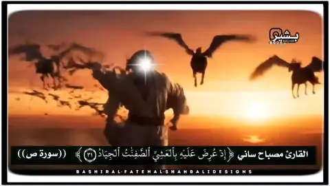 #سورة_ص سليمان قتل المجنحه الذي نسته ذكر الله حتي الشمس توارت بالحجاب القارئ مصباح ساني #اللهم_صلي_على_نبينا_محمد💓🕋📿 #القران_الكريم_راحه_نفسية😍🕋 