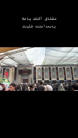 #كربلاء_المقدسة #كربلاء #كربلاء_المقدسه_بين_الحرمين #كربلاء_مدينة_العشق_والعاشقين 