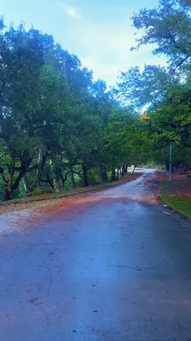 عين دراهم 🌿🌳🍀🌲🍁🇹🇳🫀#foryou #foryoupage #عين_دراهم_طبرقة❤️_جندوبة_الشمال_الغربي #tiktok #بنيمطير 