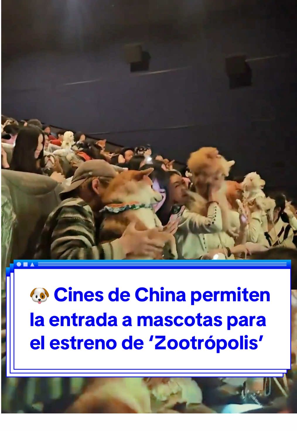 🐕🎞️  La imagen se ha hecho viral. Decenas de mascotas han acudido al estreno de ‘Zootrópolis 2’ junto a sus dueños en algunos cines de China. Una original idea que ha permitido a muchos espectadores disfrutar de la película de una manera diferente y especial. #Zootrópolis #Disney #cine #mascotas #pets   