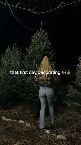 first christmas in the new house 🥰