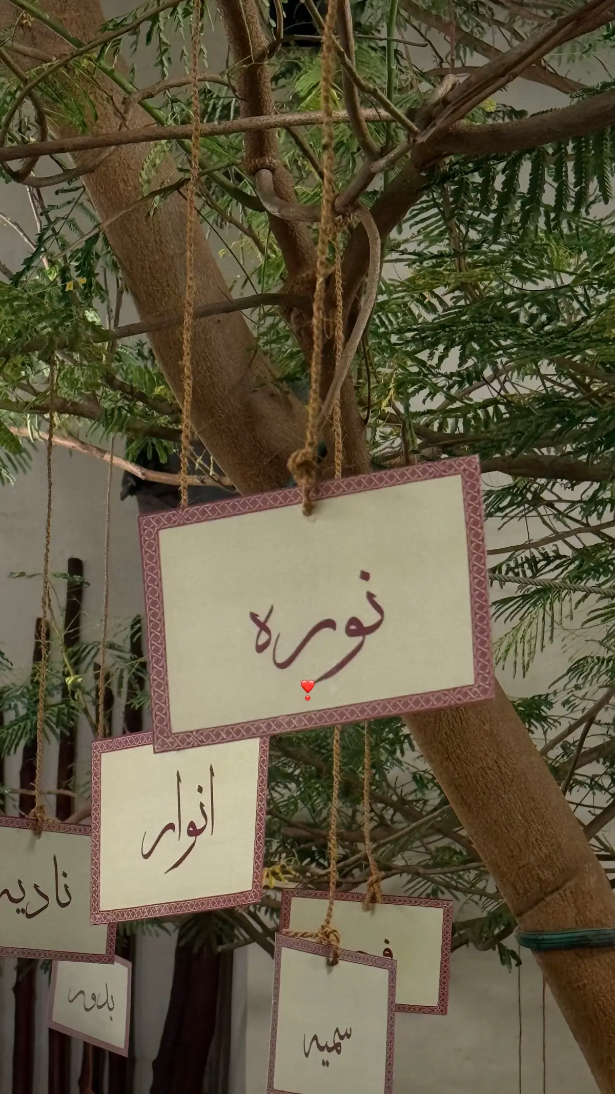 #ليالي_محرق #bahrain🇧🇭 #نوره 