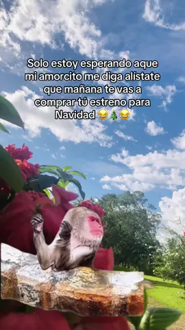 #Meme #MemeCut #😂😂😂😂😂 