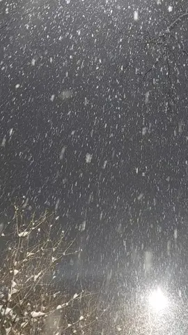 #менсенісүйем #менсенісүйем#🥰🥰🥰🥰❤️❤️❤️ 