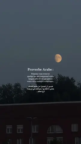 Proverbe arabe. #pourtoiii #اقتباساتي #citation 