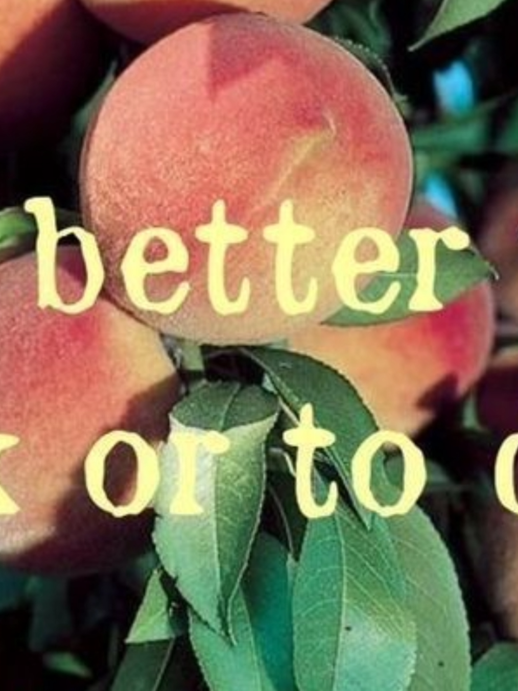 how can a tattoo speak to me?  ㅤㅤ #callmebyyourname #timotheechalamet #fypage #cmbyn #callmebyyournameedit 