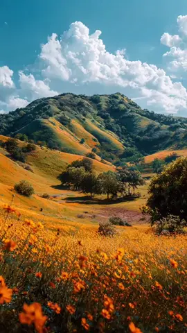 #____✅️____🇮🇶__الريان____🇮🇶___✔️ 