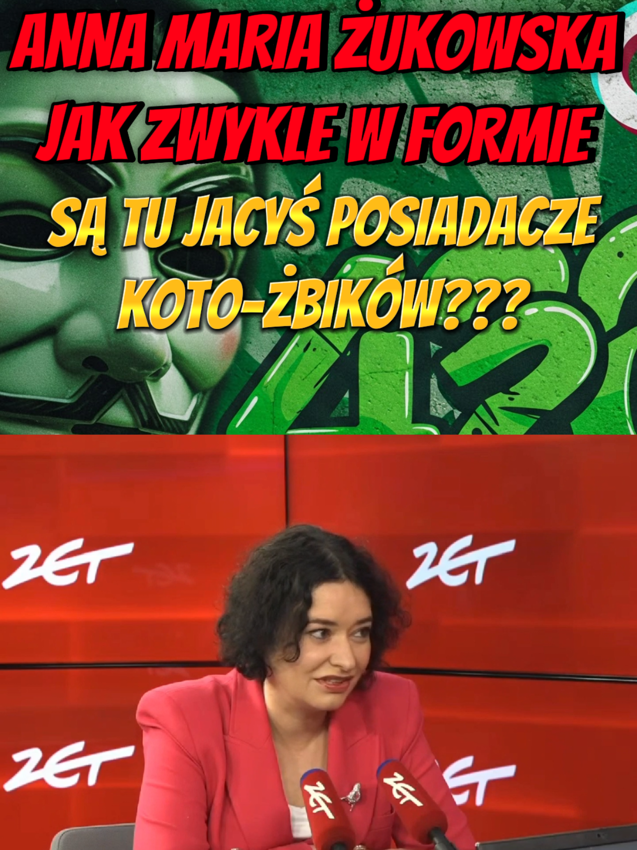 Anna Maria Żukowska na ścieżce wojennej z koto-żbikami #dc #ważne #polityka #polska🇵🇱 #kot 