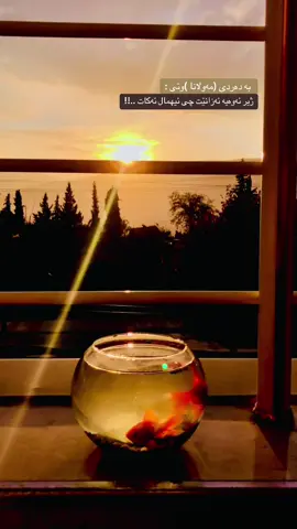 #kurdstan_hawler_soran 