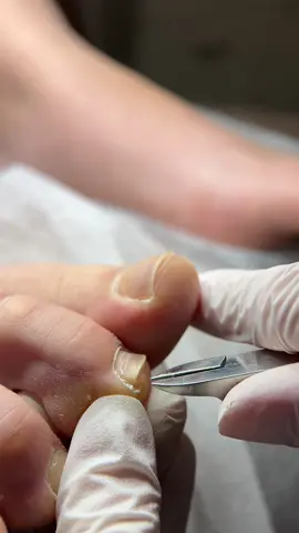 Індивідуальне навчання Онлайн курси