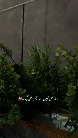 Wallah🫠❤️‍🩹 | #sheis_69 #fyp #fypシ゚ #viral #urdupoetry 