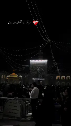 BeShak Mola 🥹🌸🙌🏻😭#مولا_رضا_ع #foryou #foryoupage #shia #ali_official406 @rajabfamily @rajabbutt•555 @DDSBILA 