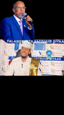 #somalilandtiktok💚🤍❤ #somaliland #fypage #hargeisa #hargeisa 