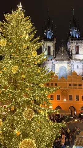 Christmas fairy tale in Prague✨☃️#prague #christmas #wintervibes #magic #snow 