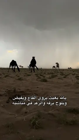 لقطه رهيبه👌🏻⚡️#explore #تصويري #fypシ #tiktok 