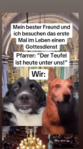 Nichts wie weg von hier😂😂😂 Cr: joyceuncut