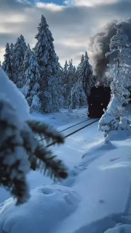 #lovesongs #lovesong #lyrics_songs #songs 