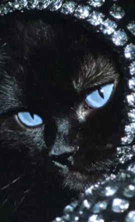 ما رأيكم حول الفكرة؟ - - #اكسبلور #الغموض #الكون #الزمن #الفصحى 