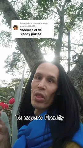 Respuesta a @joseluish12456  Etiqueten a Freddy y díganle que lo estoy esperando. #lavozrobotica #lapencademaguey #Antonio #Freddy #paratiiiiiiiiiiiiiiiiiiiiiiiiiiiiiii 