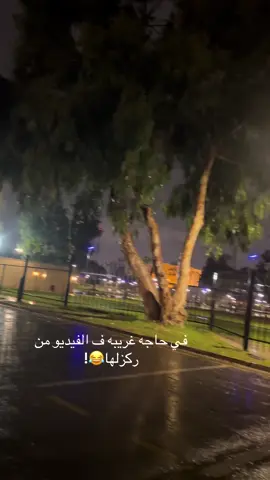 #مصراته❤️‍🔥 #الحديقه_المركزيه_مصراته #@حمادي07 #ليبيا_طرابلس_مصر_تونس_المغرب_الخليج 