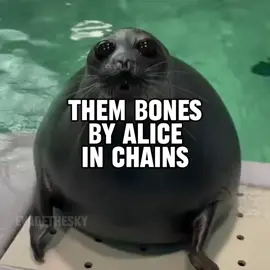 them bones by alice in chains seal music video #seal #sealtok #aliceinchains #thembones #lyrics 