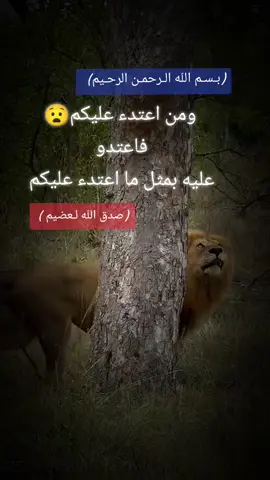 #شعب_الصيني_ماله_حل😂😂 #كبرياء_رجل #شلوخ_مانبيع_ما_عدنه_شي👑🧭 #سكاكا_الجوف_اكسبلور 