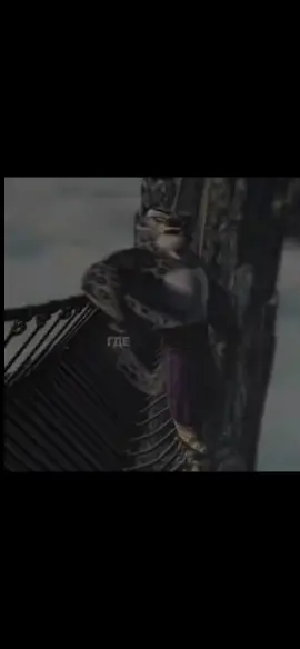 Мне помог @Rowdy,эдит Тайлунг. #Кунгфупанда#Тайлунг#Озвучка